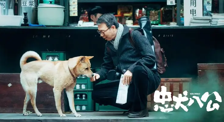 图解优酷视频无法观看